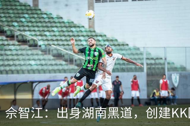 佘智江：出身湖南黑道，创建KK园区，他表哥成大佬司机娶小燕子